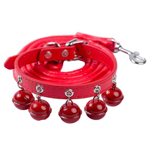 Robuste Hundeleine, ausbruchsicher, für kleine und große Hunde, Freizeittraining im Freien, 120 cm Robuste Hundeleine, ausbruchsicher, für kleine und große Hunde, Freizeittraining im Freien, 120 cm von TNNOKL