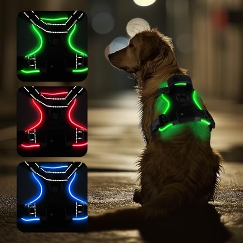 LED-Hundegeschirr mit reflektierenden Streifen, kein Ziehen, wiederaufladbar, gepolstert, atmungsaktives Netzgewebe, verstellbare Riemen, Tragegriff oben, Schnellverschluss-Schnallen und 2 D-Ringe aus von TNQ4Paws