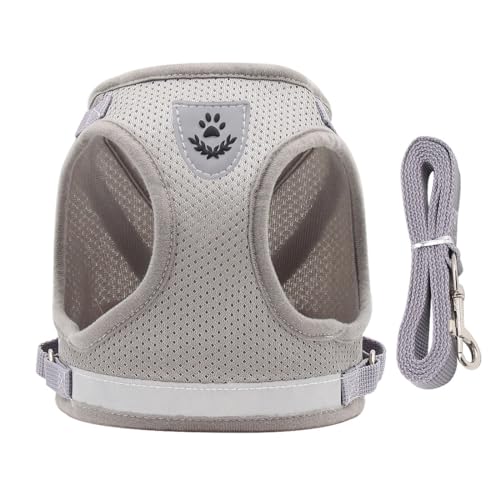 TNSRAY Katzengeschirr mit Leine ausbruchsicher, Katzengeschirr inkl. Leine für kleine Katzen, Cat Harness Katzengarnitur ausbruchsicher verstellbar Katzenweste (grau) von TNSRAY