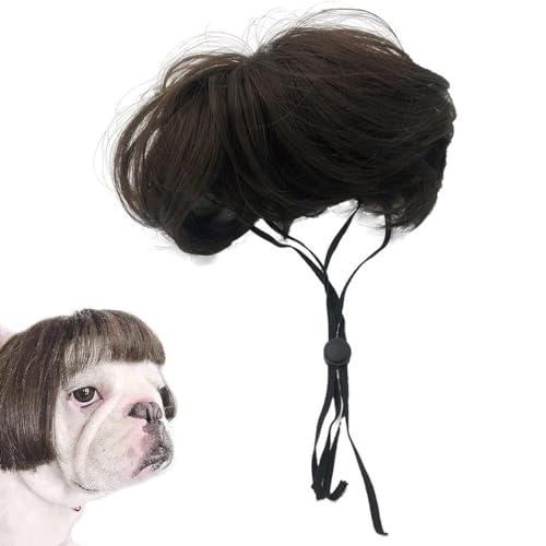 TNSRAY Lustige Hunde Katzen Cosplay Perücke, Perücke Verkleidung Kostüme für Hunde, Perücke für Kleine und Mittelgroße Hund Katzen, Kostüm für Haustiere Fotoshooting, Perücken Haarschmuck Niedlich TNSRAY Lustige Hunde Katzen Cosplay Perücke, Perücke Verkleidung Kostüme für Hunde, Perücke für Kleine und Mittelgroße Hund Katzen, Kostüm für Haustiere Fotoshooting, Perücken Haarschmuck Niedlich von TNSRAY