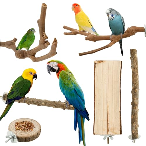 Vogelspielzeug,6 Stück Naturholz Vogel Papagei Sitzstange Stand,Pole Stehende Vogelkäfig Spielzeug,Tragbare Tischplatte Sittiche Ausbildung für Wellensittiche,Nymphensittiche,Unzertrennliche von TNTGMG