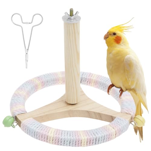 Vogelständer Sitzstange,natürliches hölzernes Vogeltrainingsspielzeug,21×21×19 cm, tragbare interaktive Tischsitzstange für kleine mittlere Papageien,Sittiche, Sittiche, Nymphensittiche(B) von TNTGMG