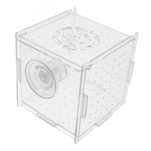 TOBBOMEY Aquarium Fisch Zucht Box mit Saugnäpfen Fisch Isolation Box Garnelen Zucht Box Fisch Tank Isolation Bord TOBBOMEY Aquarium Fisch Zucht Box mit Saugnäpfen Fisch Isolation Box Garnelen Zucht Box Fisch Tank Isolation Bord von TOBBOMEY