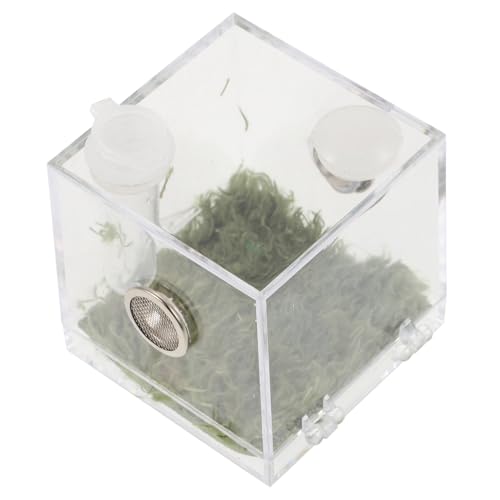 TOBBOMEY 1satz Zuchtbox Für Springspinnen Transparente Futter Und Beobachtungsbox Für Kleine Reptilien Temperaturmesser Leicht Und Für Haustiere Und Insektenhaltung TOBBOMEY 1satz Zuchtbox Für Springspinnen Transparente Futter Und Beobachtungsbox Für Kleine Reptilien Temperaturmesser Leicht Und Für Haustiere Und Insektenhaltung von TOBBOMEY