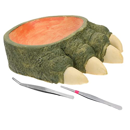 TOBBOMEY 1 Set Eidechsenkrallen Schlangen Wassernapf, Heim Reptiliennapf, Dekorativer Wassernapf, Natürlicher Wassernapf, Dekorativer Reptiliennapf, Harz Wassernapf, Sichere Verwendung, von TOBBOMEY