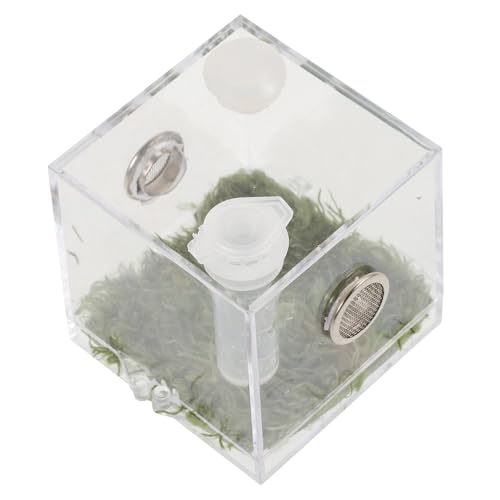 TOBBOMEY 1 Set Springspinnen Zuchtbox Insekten Futterbehälter Insektengehege Tank Reptilienbehälter Acryl Spinnen Schlüpfbehälter Zuchtbehälter Reptilien Acryl Futterbehälter von TOBBOMEY