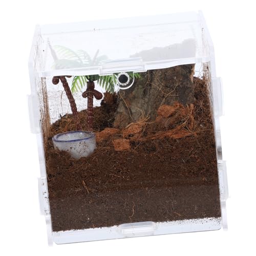 TOBBOMEY 1 Set Springspinnen Zuchtbox Insektenhabitatkäfig Zuchtbehälter Reptilienkoffer Spinnenterrarium Transparenter Springspinnenkäfig Acryl Spinnenbehälter Fütterungskoffer TOBBOMEY 1 Set Springspinnen Zuchtbox Insektenhabitatkäfig Zuchtbehälter Reptilienkoffer Spinnenterrarium Transparenter Springspinnenkäfig Acryl Spinnenbehälter Fütterungskoffer von TOBBOMEY