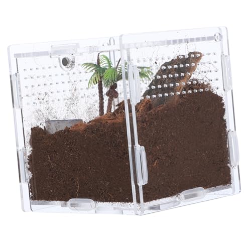 TOBBOMEY Insekten-lebensraumkäfig Acryl-spinnenbehälter Fütterungsbox Reptilien-aufbewahrungskoffer Springspinnen-zuchtbox Leicht Zu Reinigen TOBBOMEY Insekten-lebensraumkäfig Acryl-spinnenbehälter Fütterungsbox Reptilien-aufbewahrungskoffer Springspinnen-zuchtbox Leicht Zu Reinigen von TOBBOMEY