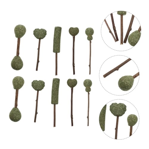 TOBBOMEY 10 Stück Teiliges Katzenspielzeug Natürliche Katzenminze Kausticks zur Zahnpflege Leichter Catnip Lollipop für Interaktiven Spielspaß und Verdauungsförderung bei Katzen und von TOBBOMEY