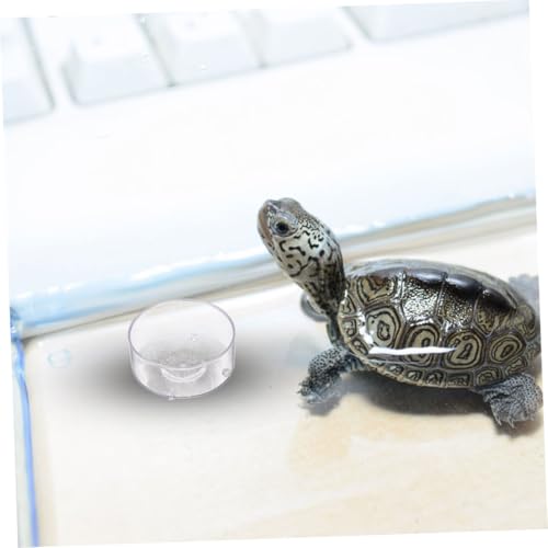 TOBBOMEY 10 Stück Teiliges Reptilien Wasserschalen aus Langlebigem Acryl Kippsichere Futterschalen für Schildkröten Eidechsen und Kleine Terrarientiere Einfache Reinigung Vielseitig von TOBBOMEY