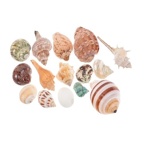 TOBBOMEY 15 Stück Teiliges Dekorative Muscheln für Aquarien Natürliche Schneckenhäuser Krabbenlebensräume Strandstil Zubehör für Fischbehälter und Heimdekoration TOBBOMEY 15 Stück Teiliges Dekorative Muscheln für Aquarien Natürliche Schneckenhäuser Krabbenlebensräume Strandstil Zubehör für Fischbehälter und Heimdekoration von TOBBOMEY
