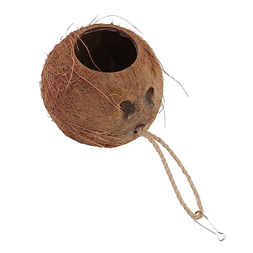 TOBBOMEY 2 STK Kokosnuss Schalen-ausweich Versteck Für Vögel Vogelnest Futterhäuschen Für Finken Natürliche Taube Natürliches Taubenhaus Taubenbrutnest Hamsternest Kokosnussschale TOBBOMEY 2 STK Kokosnuss Schalen-ausweich Versteck Für Vögel Vogelnest Futterhäuschen Für Finken Natürliche Taube Natürliches Taubenhaus Taubenbrutnest Hamsternest Kokosnussschale von TOBBOMEY