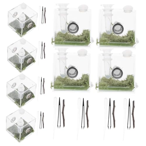 TOBBOMEY 2 Sätze Springspinne Terrarium aus klarem Kunststoff Kompakte Futter und Aufzuchtbox mit Belüftungslöchern Sichere Kleintier Behausung für Kleine Reptilien und Spinnen Praktisches TOBBOMEY 2 Sätze Springspinne Terrarium aus klarem Kunststoff Kompakte Futter und Aufzuchtbox mit Belüftungslöchern Sichere Kleintier Behausung für Kleine Reptilien und Spinnen Praktisches von TOBBOMEY