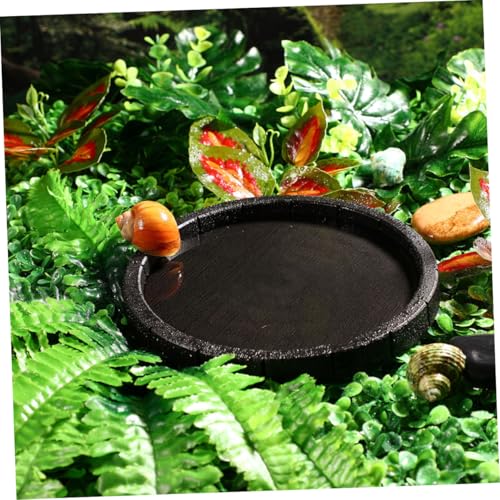 TOBBOMEY 4 Stück Reptilien wassernapf und Futterschale für Schildkröten und Echsen Plastik Futter Trinkschalen Kippsichere Reptilien Fressnäpfe Pflegeleicht und Langlebig TOBBOMEY 4 Stück Reptilien wassernapf und Futterschale für Schildkröten und Echsen Plastik Futter Trinkschalen Kippsichere Reptilien Fressnäpfe Pflegeleicht und Langlebig von TOBBOMEY