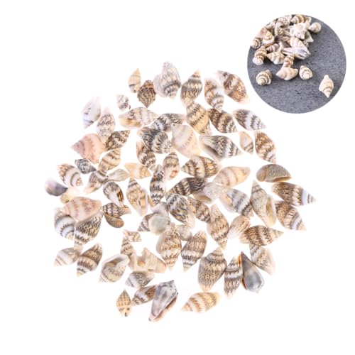 TOBBOMEY 500 Stück Natürliche Kleine Conch Muscheln Vielseitige Dekoration für Zuhause und Aquarium Bunte Meeresdeko für Bastelprojekte Strandelemente für Kreative Wohnraumgestaltung von TOBBOMEY