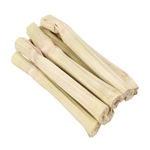 TOBBOMEY Hamster Kauspielzeug aus Natürlichem Bambus Zahnpflege Sticks für Kleintiere Wie Kaninchen Meerschweinchen und Chinchilla Verschleißfestes zur Stressreduktion im Käfig von TOBBOMEY