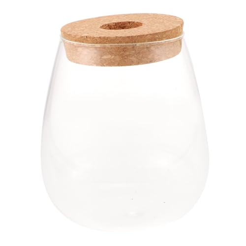 TOBBOMEY Hydroponische Pflanzflasche aus Transparentem Glas Langlebige Ökologische Terrarium-Flasche für Moos und Mini-landschaften Dekorative Desktop-Flasche für Wohnzimmer Balkon Büro TOBBOMEY Hydroponische Pflanzflasche aus Transparentem Glas Langlebige Ökologische Terrarium-Flasche für Moos und Mini-landschaften Dekorative Desktop-Flasche für Wohnzimmer Balkon Büro von TOBBOMEY