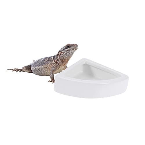 TOBBOMEY Keramik Futterschale für Reptilien Eckschale Mittel Weiß rutschfest Umsturzsicher für Eidechsen Schildkröten Frösche und Kleine Reptilien Futter und Wassernapf von TOBBOMEY