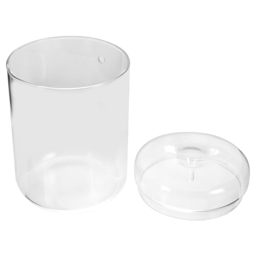 TOBBOMEY Micro Landscape Terrarium Glasflasche Ökologischer Pflanzenhalter Miniatur Moos Pflanzkübel Transparent Platzsparend für Wohnzimmer Schlafzimmer Büro Kreative Tischdeko von TOBBOMEY
