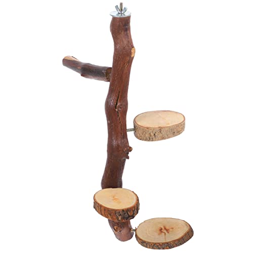 TOBBOMEY Kletterbrett für Papageien Heim-Springständer Spielzeug sicheres Holz-Sprungbrett für Vögel TOBBOMEY Kletterbrett für Papageien Heim-Springständer Spielzeug sicheres Holz-Sprungbrett für Vögel von TOBBOMEY