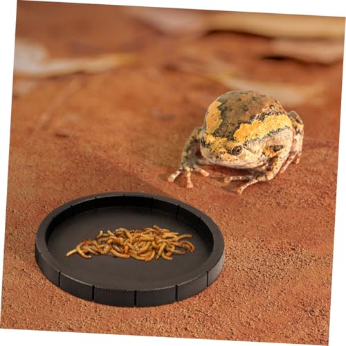 TOBBOMEY Reptilien Futter und Wassernapf Kunststoff Futterschale für Kleine Echsen Schildkröten Geckos Terrarien Zubehör Kompakt Leicht zu Reinigen Langlebig TOBBOMEY Reptilien Futter und Wassernapf Kunststoff Futterschale für Kleine Echsen Schildkröten Geckos Terrarien Zubehör Kompakt Leicht zu Reinigen Langlebig von TOBBOMEY