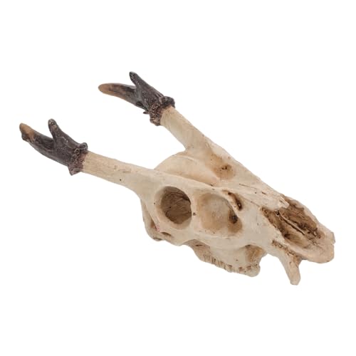 TOBBOMEY Reptilien Versteck Schädel aus Resin Mittelgroß Vielseitige Höhle für Schildkröten Terrarium Schlangen Unterschlupf Frosch Habitat Fischfreundliche Deko für Aquarium und Terrarium von TOBBOMEY