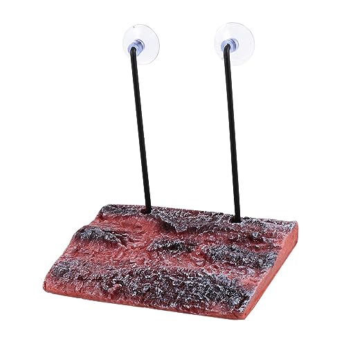 TOBBOMEY Aquarium Dekorationen Sonnendock Für Wasserschildkröten Simulation Rinde Schildkröte Terrasse Zufällige Farbe TOBBOMEY Aquarium Dekorationen Sonnendock Für Wasserschildkröten Simulation Rinde Schildkröte Terrasse Zufällige Farbe von TOBBOMEY