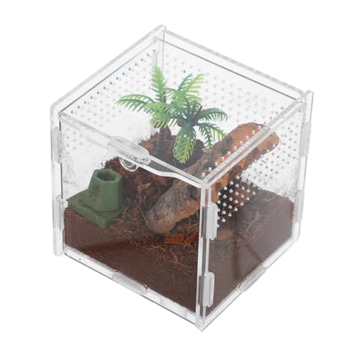 TOBBOMEY Spinnenbox Für Haustiere Mikro Lebensraum Kleines Spinnengehege Schildkrötengehege Vogelspinnengehege Zubehör Vogelspinnenzubehör Gecko Aquarium Schildkrötenkäfig Reptilien von TOBBOMEY