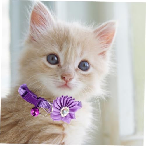 TOBBOMEY Verstellbares Haustier Katzenhalsband mit Blumenmotiv und Glocke Kreative Langlebige Halskette für Kleine Katzen und Hunde Einfach an Auszuziehen Modisches Violettes Zubehör von TOBBOMEY