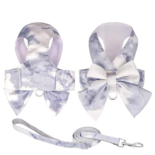 TOBILE Hundegeschirr Nette Mode Gradient Farbe Prinzessin Kleid Haustier Geschirr Kleine Und Mittlere Haustier Leine Set von TOBILE