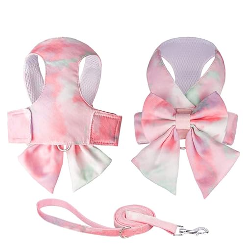 TOBILE Hundegeschirr Nette Mode Gradient Farbe Prinzessin Kleid Haustier Geschirr Kleine Und Mittlere Haustier Leine Set von TOBILE