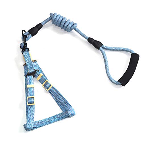TOBILE Hundegeschirr Starke Verschleiß-Resistente Haustierleine Mit Schaumgrenze Pet Carrier Set von TOBILE