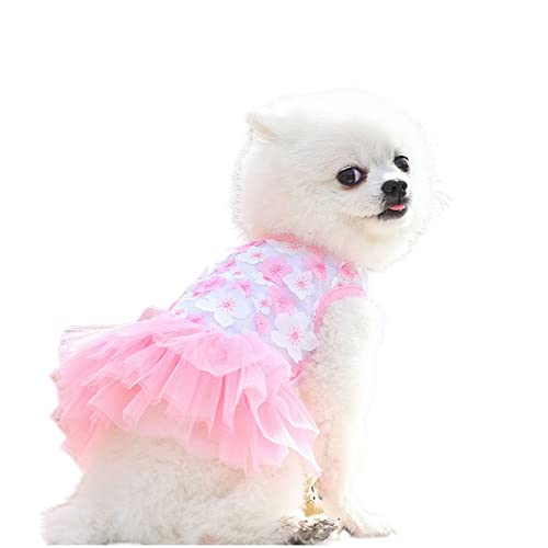 TOBILE Hundekleidung Hundekleidung Haustiere Prinzessin Kleid Baumwolle Pfirsichblüte Stein für kleine Hunde Dressing Haustier Kleidung Lieferanten - Rosa, XL von TOBILE