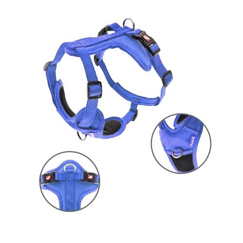 TODOPETS Arnes Cesare M, 2 cm, 40-62 cm, Blau TODOPETS Arnes Cesare M, 2 cm, 40-62 cm, Blau von TODOPETS