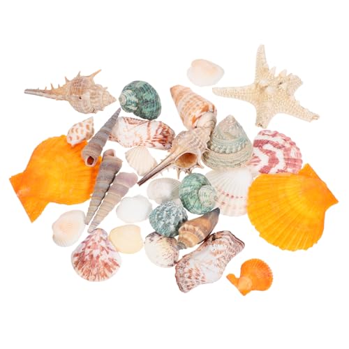 TOGEVAL 1 Natürliche Seestern-Muschelschale Miniaturdekoration Natürliche Muschel Muscheln DIY Aquarium Dekoration Aquarium Dekoration Set Natürliche Schale Aquarium-Landschaftsgestaltung TOGEVAL 1 Natürliche Seestern-Muschelschale Miniaturdekoration Natürliche Muschel Muscheln DIY Aquarium Dekoration Aquarium Dekoration Set Natürliche Schale Aquarium-Landschaftsgestaltung von TOGEVAL