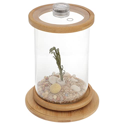 TOGEVAL 1 Satz Desktop Micro View Aquarium Desktop-Aquarium-Kit Mini-Bürobedarfsset Terrarium bürodekorationen Night Light kunstpflanze Desktop-Versorgung transparente Fischschale Green TOGEVAL 1 Satz Desktop Micro View Aquarium Desktop-Aquarium-Kit Mini-Bürobedarfsset Terrarium bürodekorationen Night Light kunstpflanze Desktop-Versorgung transparente Fischschale Green von TOGEVAL