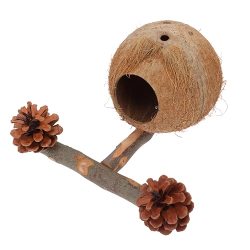 TOGEVAL 1 Satz Nestpfosten Für Papageien Natural Pine Cones Kleine Vogelspielzeuge Vogel Ruhestand Rahmenhalter Sitzstangen Für Vogelkäfige Stehender Stock Eines Papageis Brown Holz TOGEVAL 1 Satz Nestpfosten Für Papageien Natural Pine Cones Kleine Vogelspielzeuge Vogel Ruhestand Rahmenhalter Sitzstangen Für Vogelkäfige Stehender Stock Eines Papageis Brown Holz von TOGEVAL