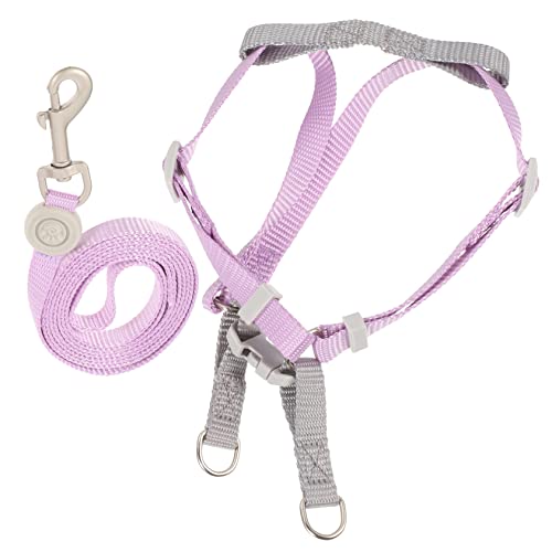TOGEVAL 2-in-1 Hundeset Leichtes Haustierset Für Hunde Bequemes Gassigehen Mit Flucht-Leine TOGEVAL 2-in-1 Hundeset Leichtes Haustierset Für Hunde Bequemes Gassigehen Mit Flucht-Leine von TOGEVAL