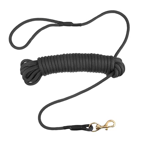 TOGEVAL Verschleißfeste Hundeleine 10m Für Große Hunde Haustier Outdoor Training Walking TOGEVAL Verschleißfeste Hundeleine 10m Für Große Hunde Haustier Outdoor Training Walking von TOGEVAL