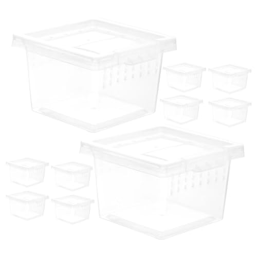 TOGEVAL 10stücke Reptilienfutterbox Aus Kunststoff Transparentes Design Mit Belüftungslöchern Vielseitiger Futterbehälter Für Spinnen Eidechsen Geckos Kompakt Und Tragbar Als Kleines TOGEVAL 10stücke Reptilienfutterbox Aus Kunststoff Transparentes Design Mit Belüftungslöchern Vielseitiger Futterbehälter Für Spinnen Eidechsen Geckos Kompakt Und Tragbar Als Kleines von TOGEVAL