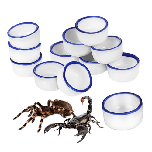 TOGEVAL 12 Stück Teiliges Mini Keramik Wassernapf für Kleine Reptilien und Spinnen rutschfeste Futter und Wasserschalen Kompakte Trinkbecken für Terrarien und Terrarientiere von TOGEVAL