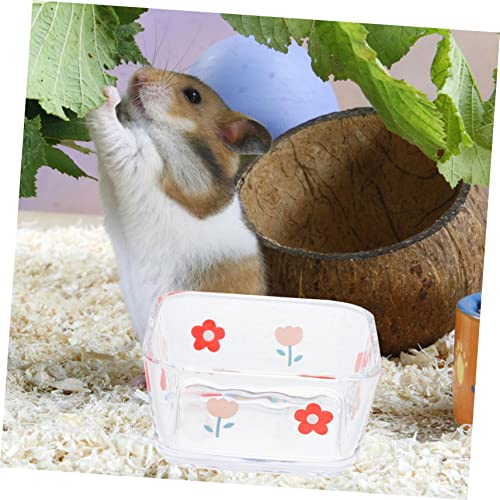 TOGEVAL 2 Stück rutschfeste Glasschalen für Hamster und Kleintiere Stabile Futter und Wassernäpfe Leicht zu Reinigen Design für Meerschweinchen Rennmäuse und Andere Kleine Haustiere TOGEVAL 2 Stück rutschfeste Glasschalen für Hamster und Kleintiere Stabile Futter und Wassernäpfe Leicht zu Reinigen Design für Meerschweinchen Rennmäuse und Andere Kleine Haustiere von TOGEVAL