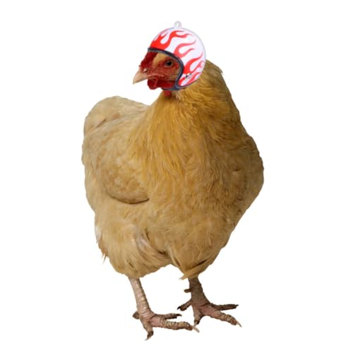 TOGEVAL 3 STÜCKE Teiliges Haustier Helm Hühner und Vögel Elastischer Sicherer Schutzhelm mit Lustigen Mustern Geeignet für Henne Papagei Ente Langlebig von TOGEVAL