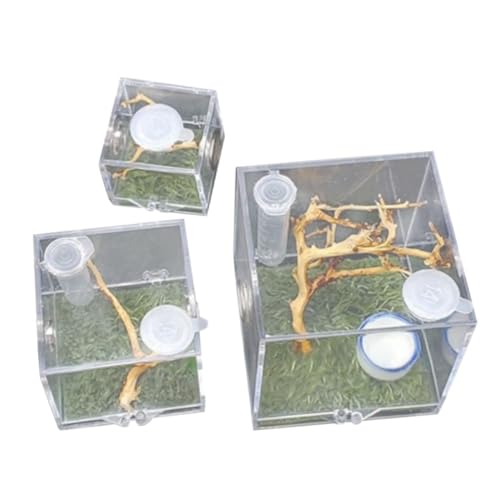 TOGEVAL 3 Stück Teiliges Springspinnen Zuchtbox mit Futteröffnung und Luftbefeuchter Leichte Transparente Reptilien Aufzuchtbehälter für Kleine Insekten Wie Spinnen Grillen und von TOGEVAL