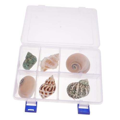 TOGEVAL 6 Stück Teiliges Natürliche Muscheldekoration für Aquarium Kleine Handgefertigte Meeresschnecken Langlebige Deko für Fischbecken Tragbar und Vielseitig für Wohnaccessoires und TOGEVAL 6 Stück Teiliges Natürliche Muscheldekoration für Aquarium Kleine Handgefertigte Meeresschnecken Langlebige Deko für Fischbecken Tragbar und Vielseitig für Wohnaccessoires und von TOGEVAL