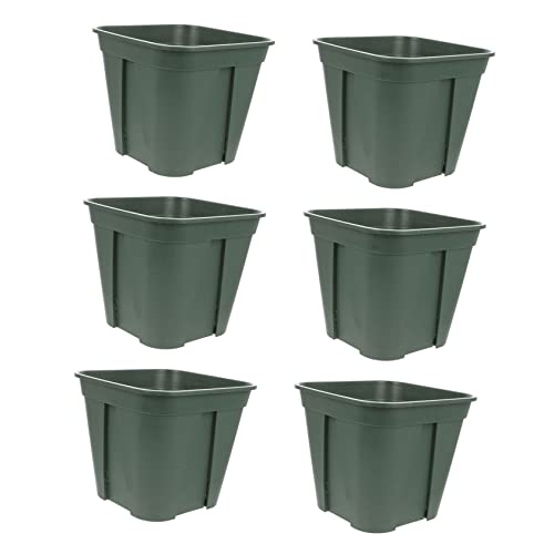 TOGEVAL 6 Stück Topf zur Wurzelkontrolle wachsen Blumentöpfe Sämlingschale durchnässt Anlage Blumenkübel orchideentopf Blumentopf aus Kunststoff Topfwerkzeug für den Garten Plastik Green TOGEVAL 6 Stück Topf zur Wurzelkontrolle wachsen Blumentöpfe Sämlingschale durchnässt Anlage Blumenkübel orchideentopf Blumentopf aus Kunststoff Topfwerkzeug für den Garten Plastik Green von TOGEVAL