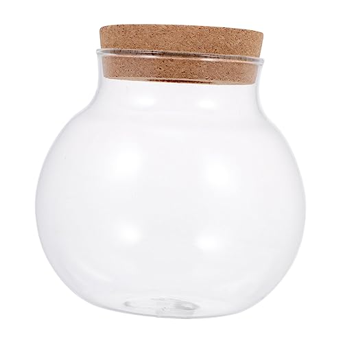 TOGEVAL Fischbecken aus Glas Container Tank Fischglas Mini Desktop-Fischschüssel offic wohnaccessoires aquarienkies The Craft mond dekorative Glasflasche Pflanzflasche aus Glas Transparent von TOGEVAL