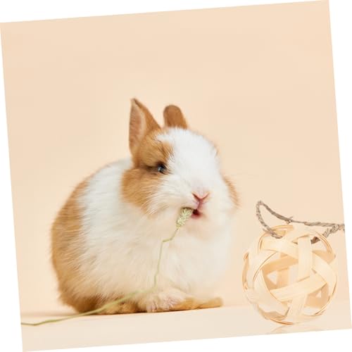 TOGEVAL Futterball für Kaninchen und Kleintiere und Futterspender Leicht Hängend zum Kauen und Beschäftigen Geeignet für Zwergkaninchen und Hamsterkäfige von TOGEVAL