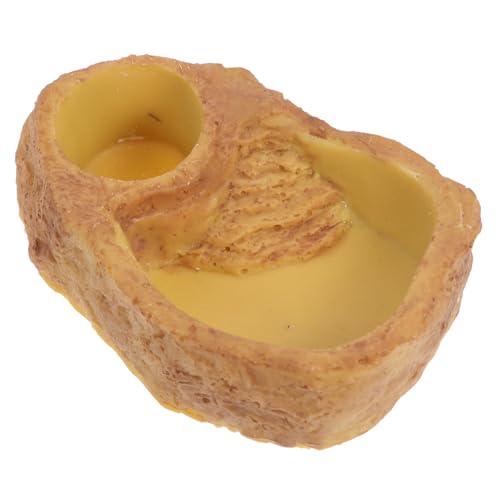 TOGEVAL Futterschale Für Reptilien Eidechsen-futterplattform Wasserschale Für Schildkröten Mit Rampe Futterbecken Für Reptilien Kriechender Futterspender Für Haustiere Gecko Orange Harz TOGEVAL Futterschale Für Reptilien Eidechsen-futterplattform Wasserschale Für Schildkröten Mit Rampe Futterbecken Für Reptilien Kriechender Futterspender Für Haustiere Gecko Orange Harz von TOGEVAL