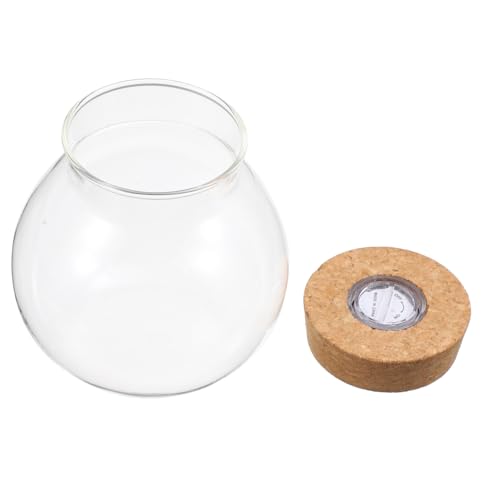 TOGEVAL LED Glasflasche mit LED Licht für DIY Mikro Landschaft Dekorativer Fischbehälter Transparentes Pflanzterrarium für Wohn und Bürodekoration Leicht zu Reinigen Kreative von TOGEVAL